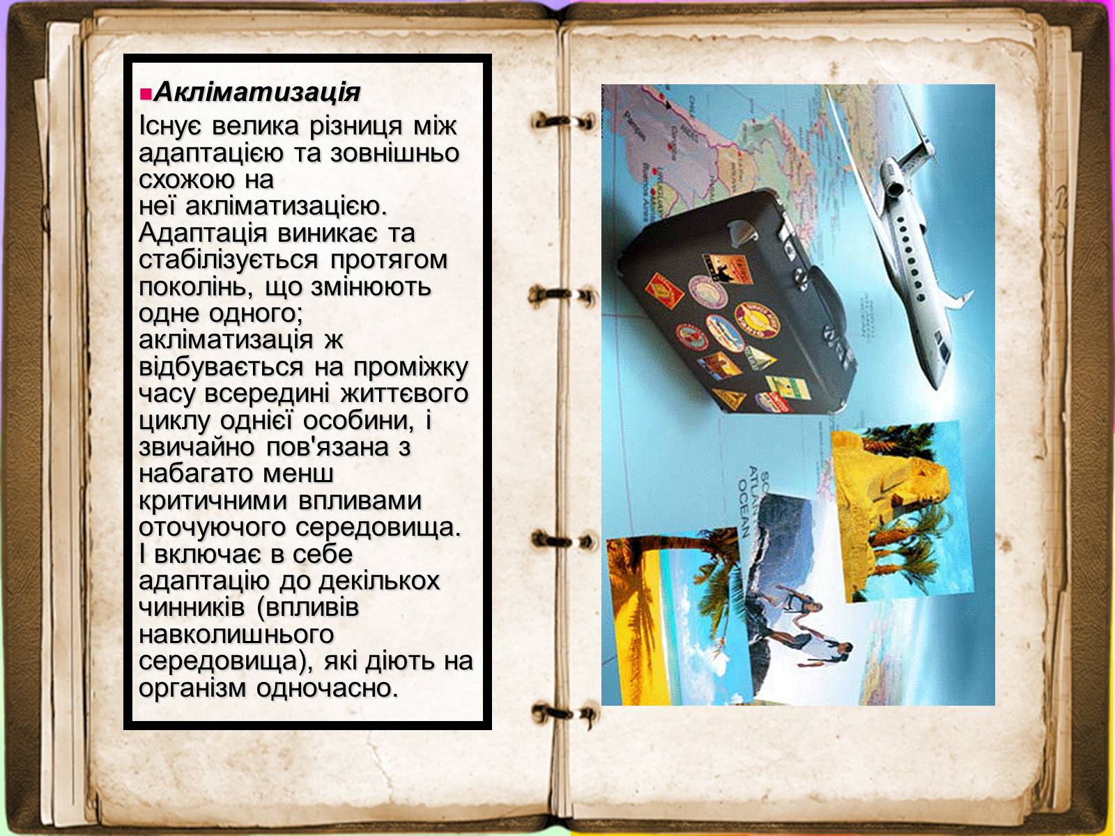 Презентація на тему «Адаптація» - Слайд #11 Презентація на тему «Адаптація» - Слайд #11