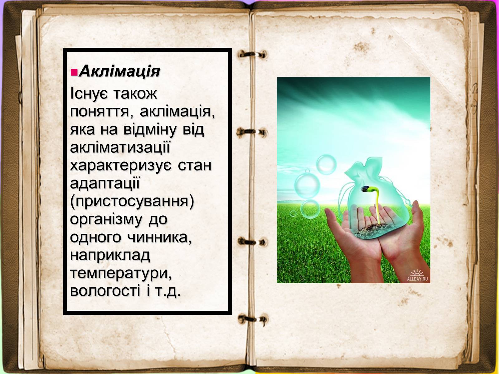 Презентація на тему «Адаптація» - Слайд #12 Презентація на тему «Адаптація» - Слайд #12