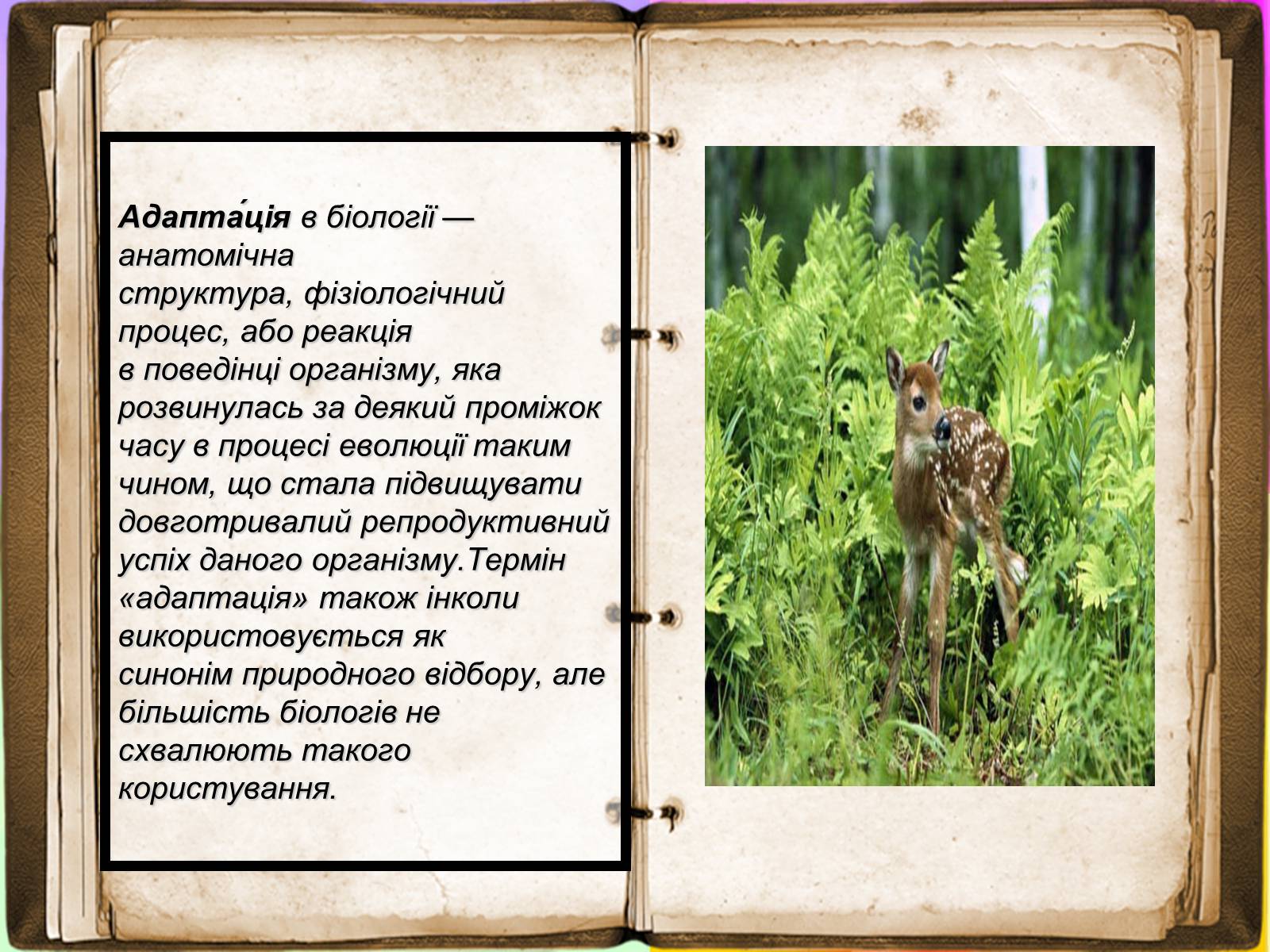 Презентація на тему «Адаптація» - Слайд #2 Презентація на тему «Адаптація» - Слайд #2
