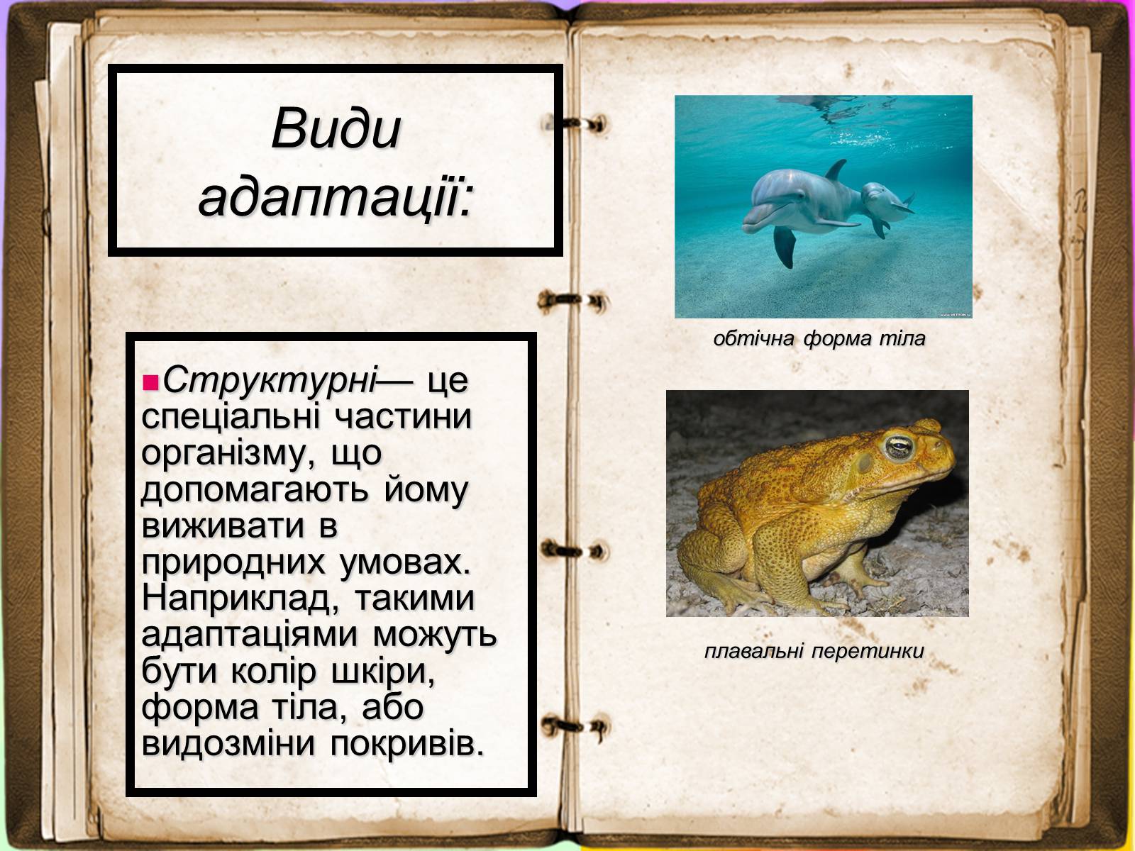 Презентація на тему «Адаптація» - Слайд #4 Презентація на тему «Адаптація» - Слайд #4