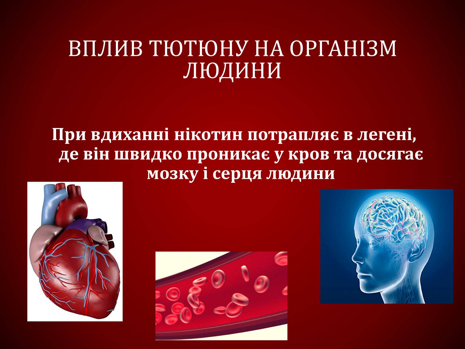 Презентація на тему «Шкідливий вплив тютюнопаління» (варіант 1) - Слайд #18 Презентація на тему «Шкідливий вплив тютюнопаління» (варіант 1) - Слайд #18