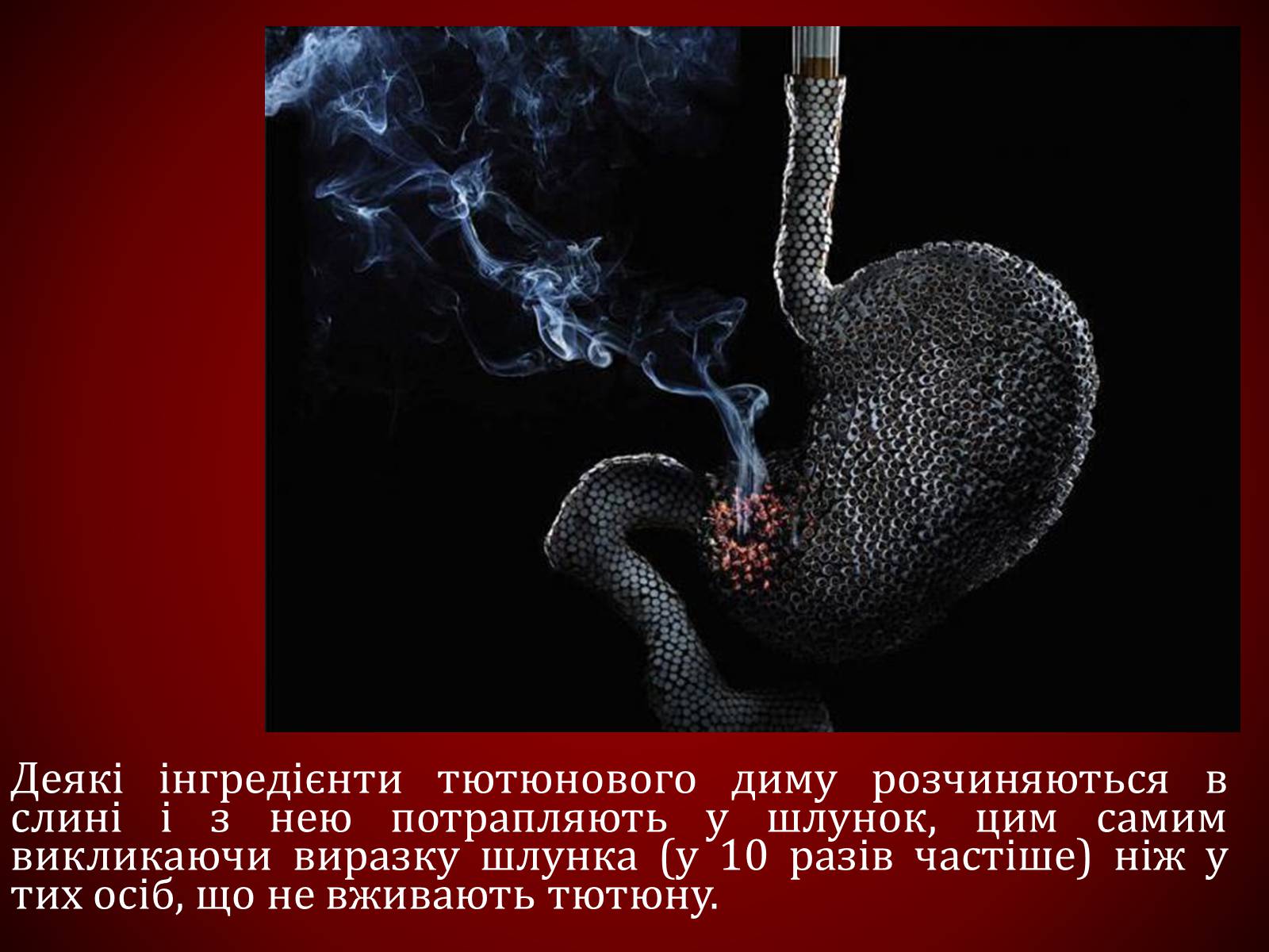 Презентація на тему «Шкідливий вплив тютюнопаління» (варіант 1) - Слайд #25 Презентація на тему «Шкідливий вплив тютюнопаління» (варіант 1) - Слайд #25