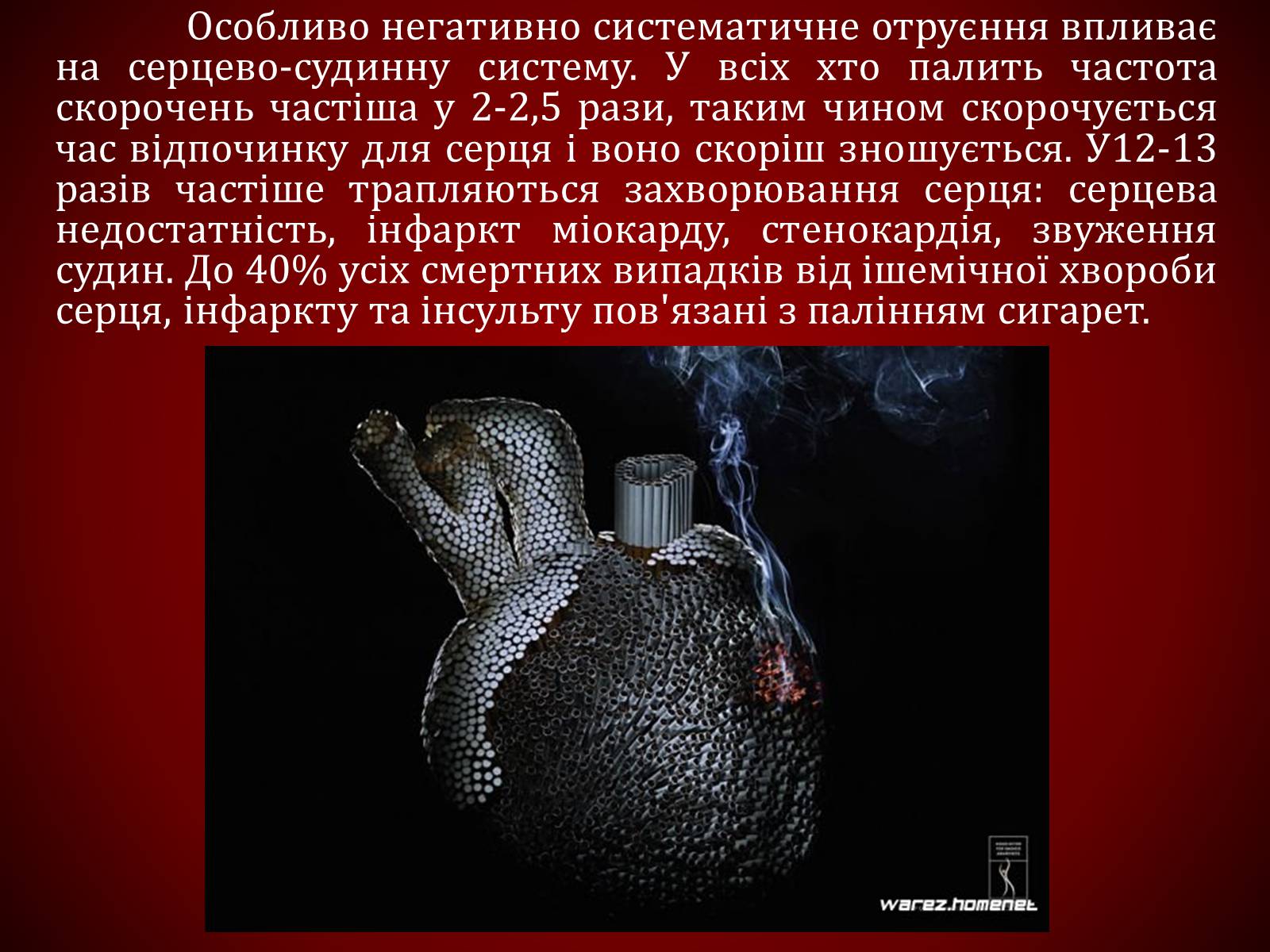 Презентація на тему «Шкідливий вплив тютюнопаління» (варіант 1) - Слайд #26 Презентація на тему «Шкідливий вплив тютюнопаління» (варіант 1) - Слайд #26