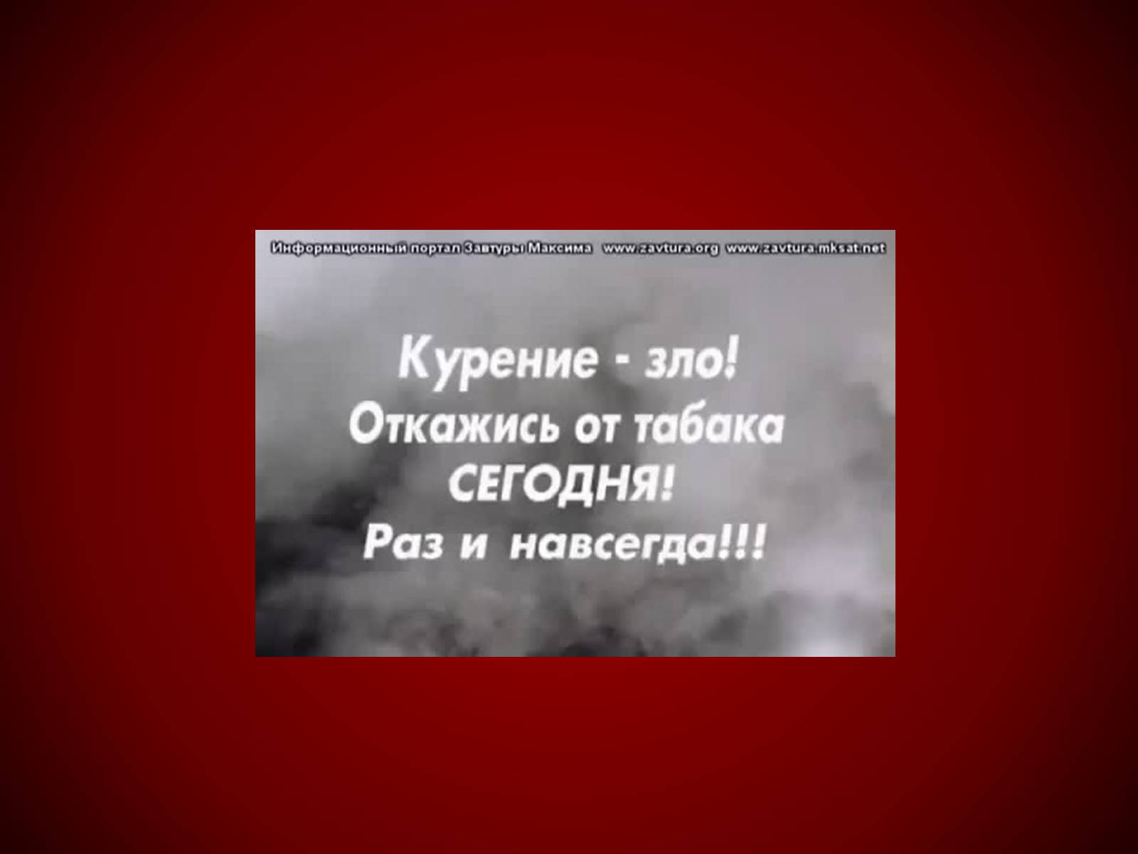 Презентація на тему «Шкідливий вплив тютюнопаління» (варіант 1) - Слайд #36 Презентація на тему «Шкідливий вплив тютюнопаління» (варіант 1) - Слайд #36