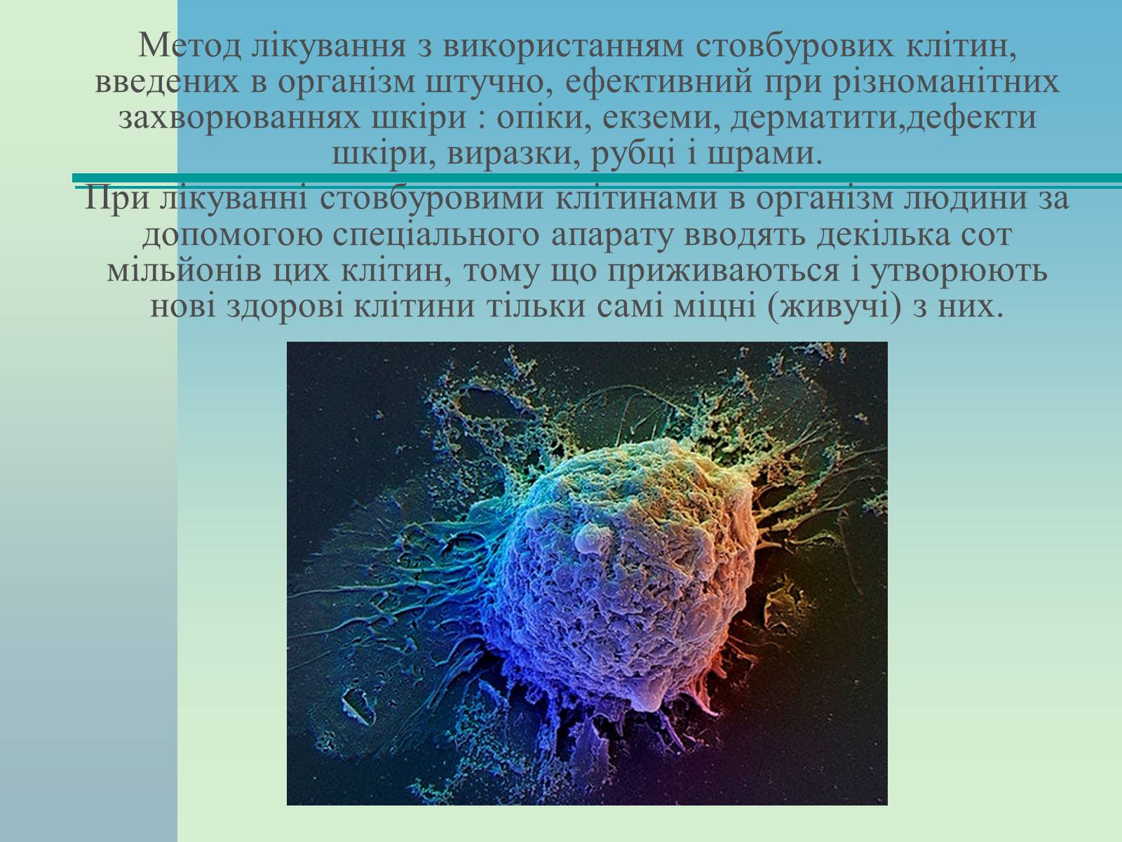 Презентація на тему «Стовбурові клітини» (варіант 2) - Слайд #10 Презентація на тему «Стовбурові клітини» (варіант 2) - Слайд #10