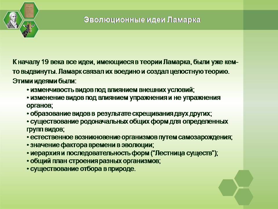 Презентація на тему «Жан Батист Ламарк» (варіант 2) - Слайд #14 Презентація на тему «Жан Батист Ламарк» (варіант 2) - Слайд #14