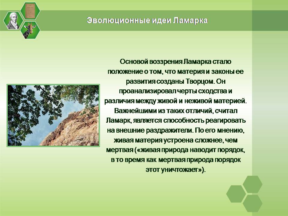 Презентація на тему «Жан Батист Ламарк» (варіант 2) - Слайд #15 Презентація на тему «Жан Батист Ламарк» (варіант 2) - Слайд #15