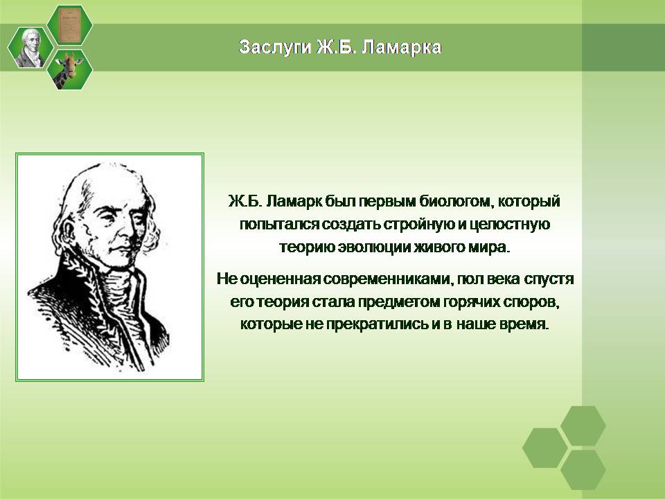 Презентація на тему «Жан Батист Ламарк» (варіант 2) - Слайд #7 Презентація на тему «Жан Батист Ламарк» (варіант 2) - Слайд #7