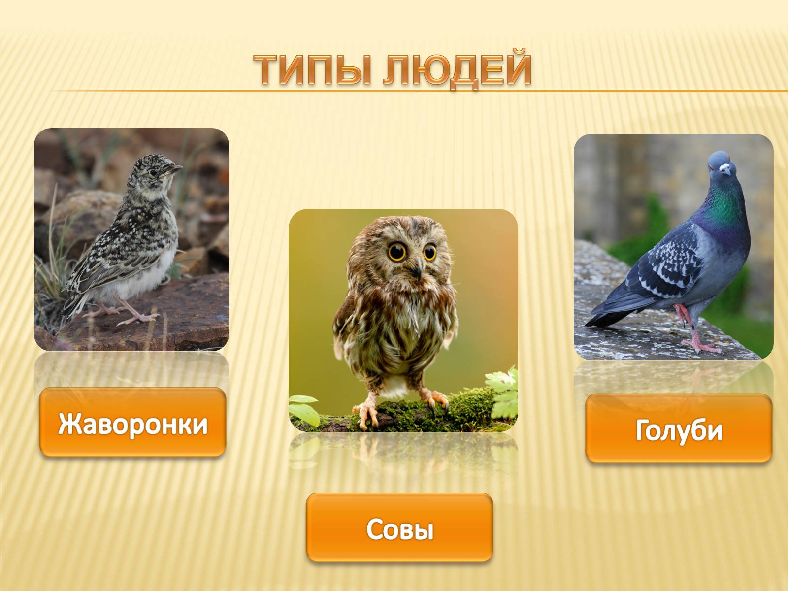 Презентація на тему «Биоритмы человека» - Слайд #14 Презентація на тему «Биоритмы человека» - Слайд #14