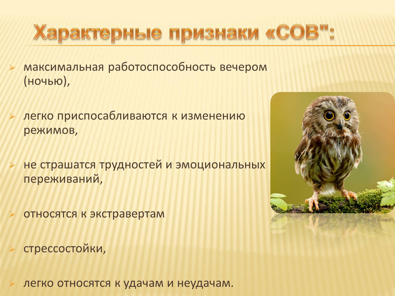 Презентація на тему «Биоритмы человека» - Слайд #16 Презентація на тему «Биоритмы человека» - Слайд #16