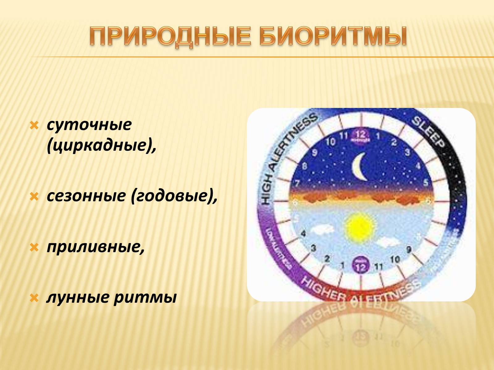 Презентація на тему «Биоритмы человека» - Слайд #9 Презентація на тему «Биоритмы человека» - Слайд #9