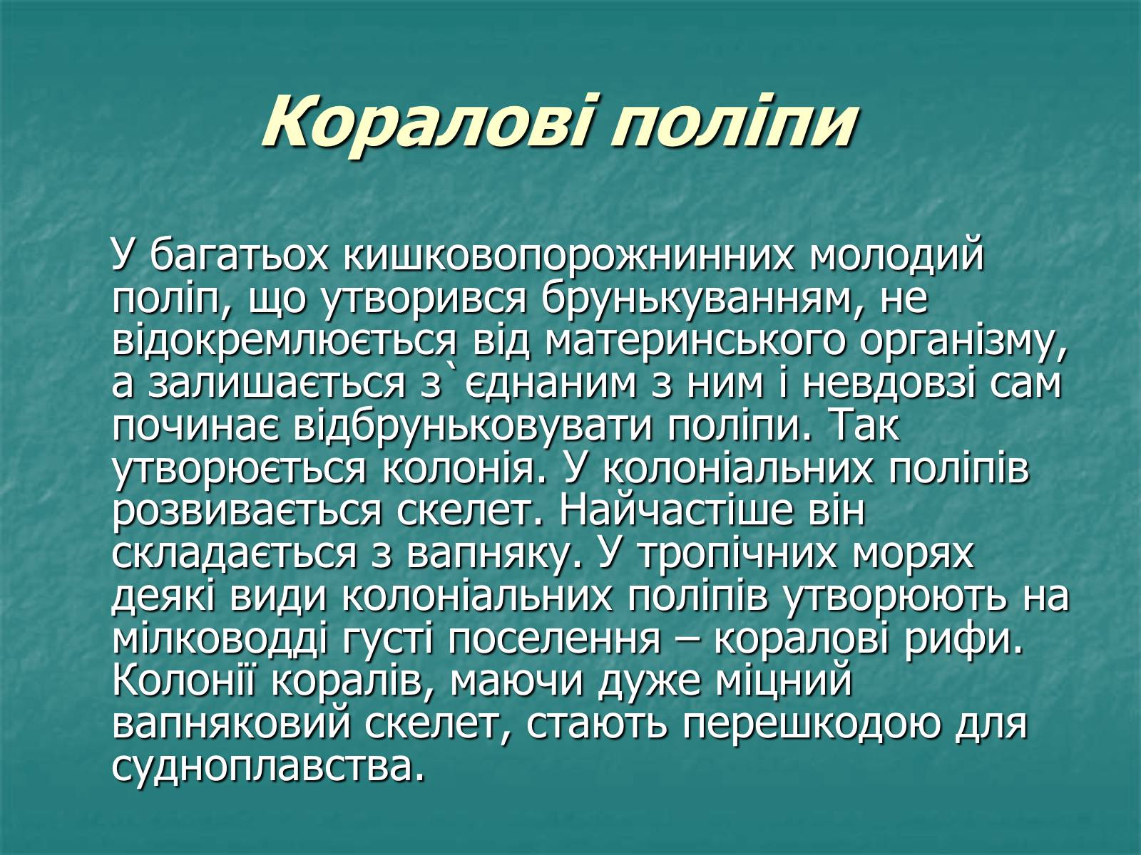 Презентація на тему «Найпростіші багатоклітинні тварини» - Слайд #12 Презентація на тему «Найпростіші багатоклітинні тварини» - Слайд #12