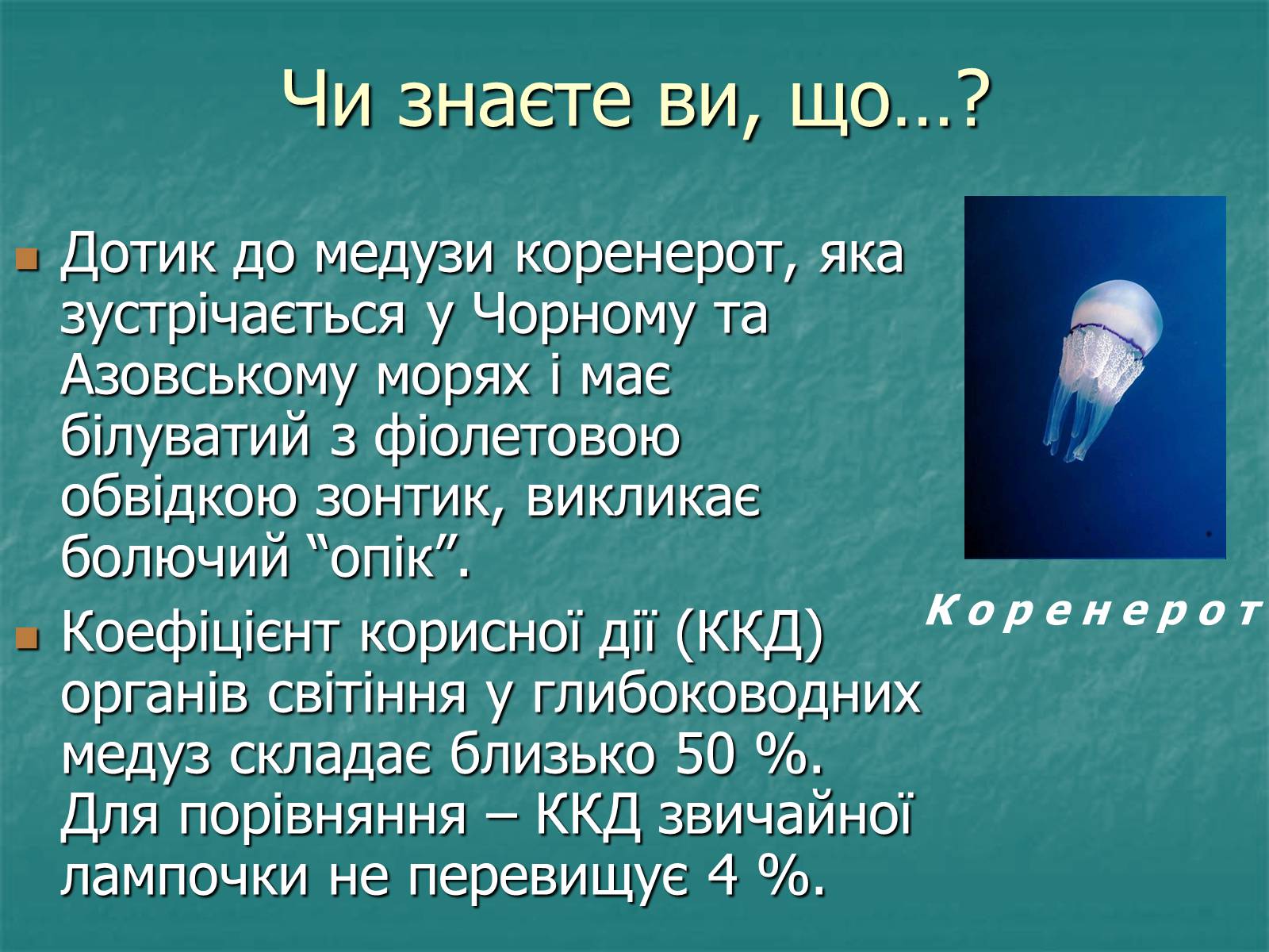 Презентація на тему «Найпростіші багатоклітинні тварини» - Слайд #14 Презентація на тему «Найпростіші багатоклітинні тварини» - Слайд #14