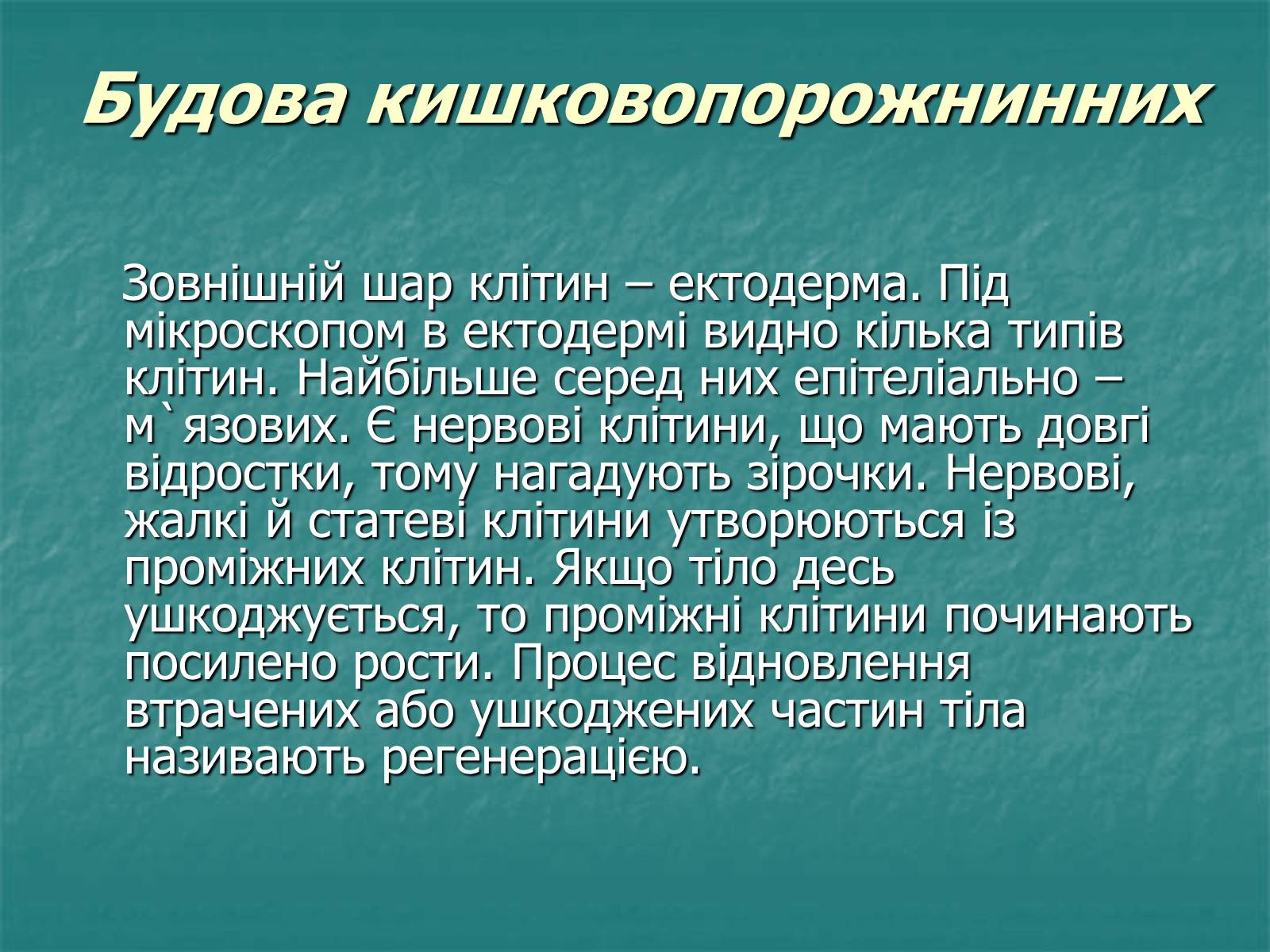Презентація на тему «Найпростіші багатоклітинні тварини» - Слайд #3 Презентація на тему «Найпростіші багатоклітинні тварини» - Слайд #3
