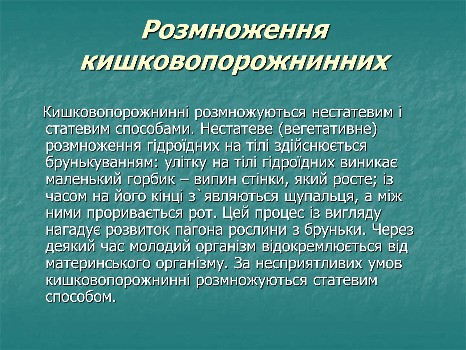 Презентація на тему «Найпростіші багатоклітинні тварини» - Слайд #5 Презентація на тему «Найпростіші багатоклітинні тварини» - Слайд #5