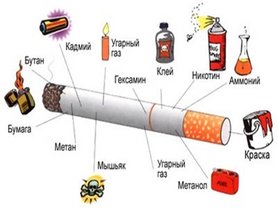 Презентація на тему «Влияние курения на организм человека» - Слайд #6 Презентація на тему «Влияние курения на организм человека» - Слайд #6