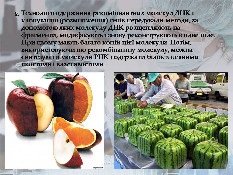Презентація на тему «Генна інженерія» (варіант 10) - Слайд #4 Презентація на тему «Генна інженерія» (варіант 10) - Слайд #4