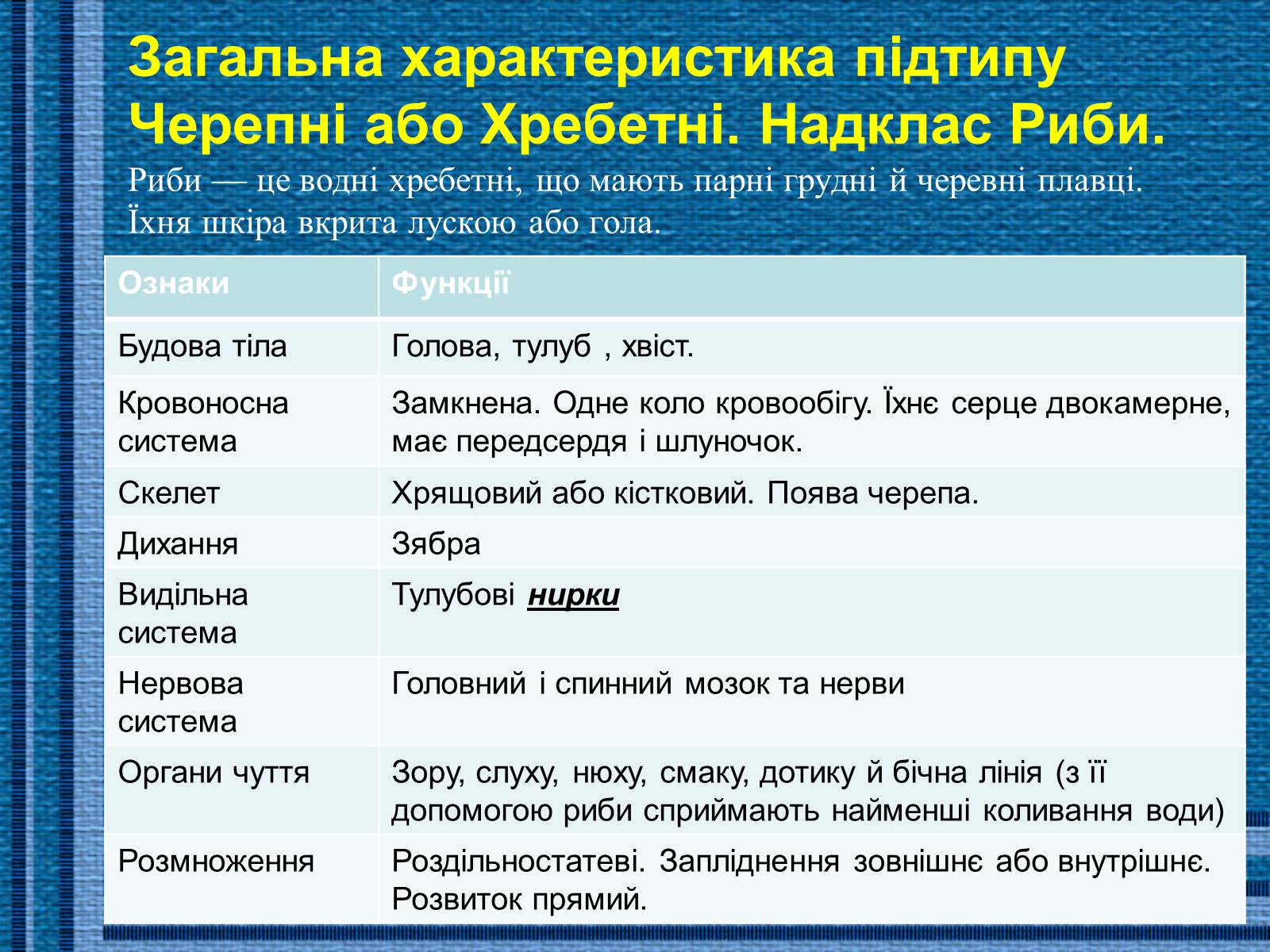 Презентація на тему «Хрящові риби» (варіант 1) - Слайд #4 Презентація на тему «Хрящові риби» (варіант 1) - Слайд #4