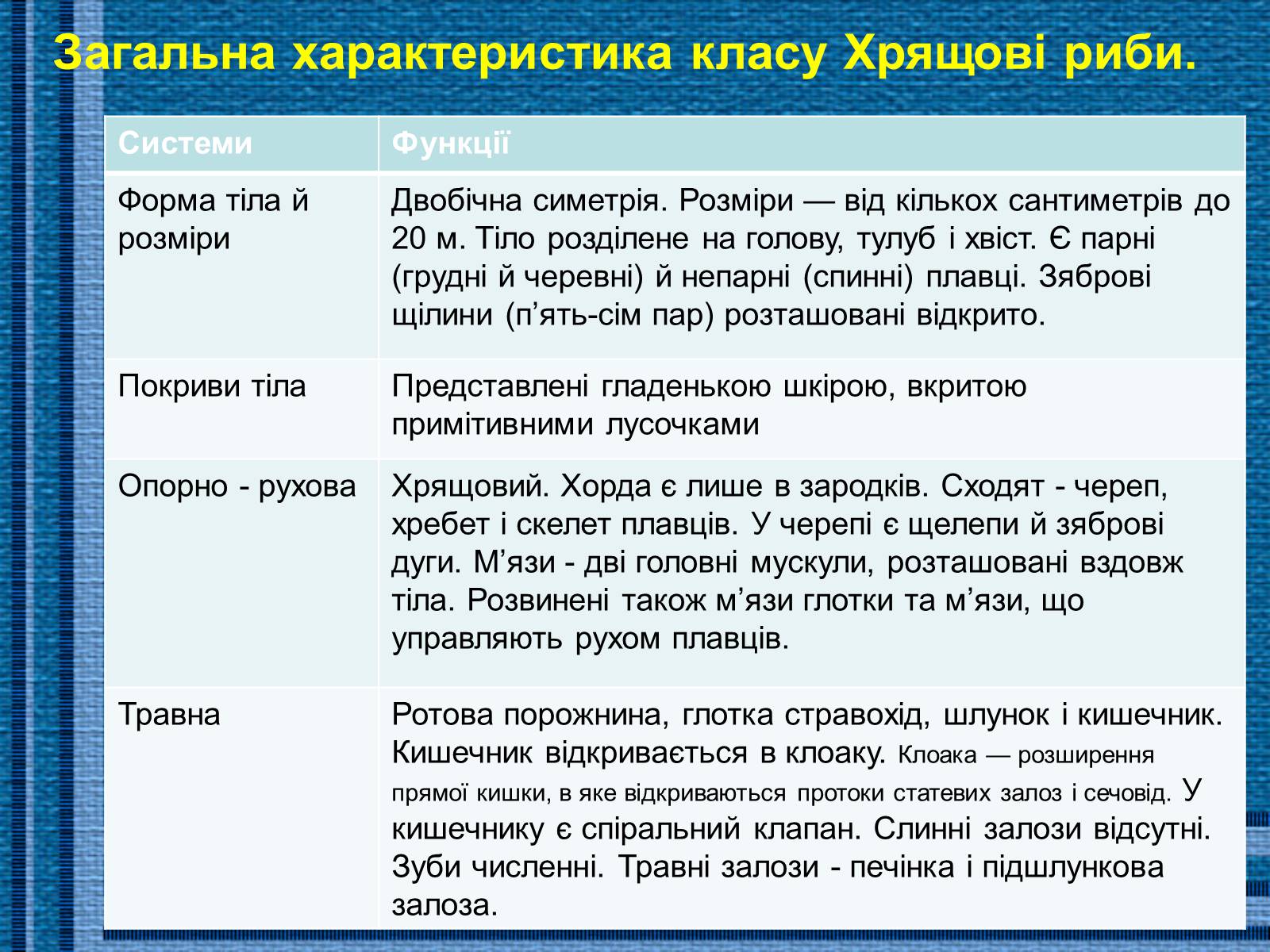Презентація на тему «Хрящові риби» (варіант 1) - Слайд #7 Презентація на тему «Хрящові риби» (варіант 1) - Слайд #7