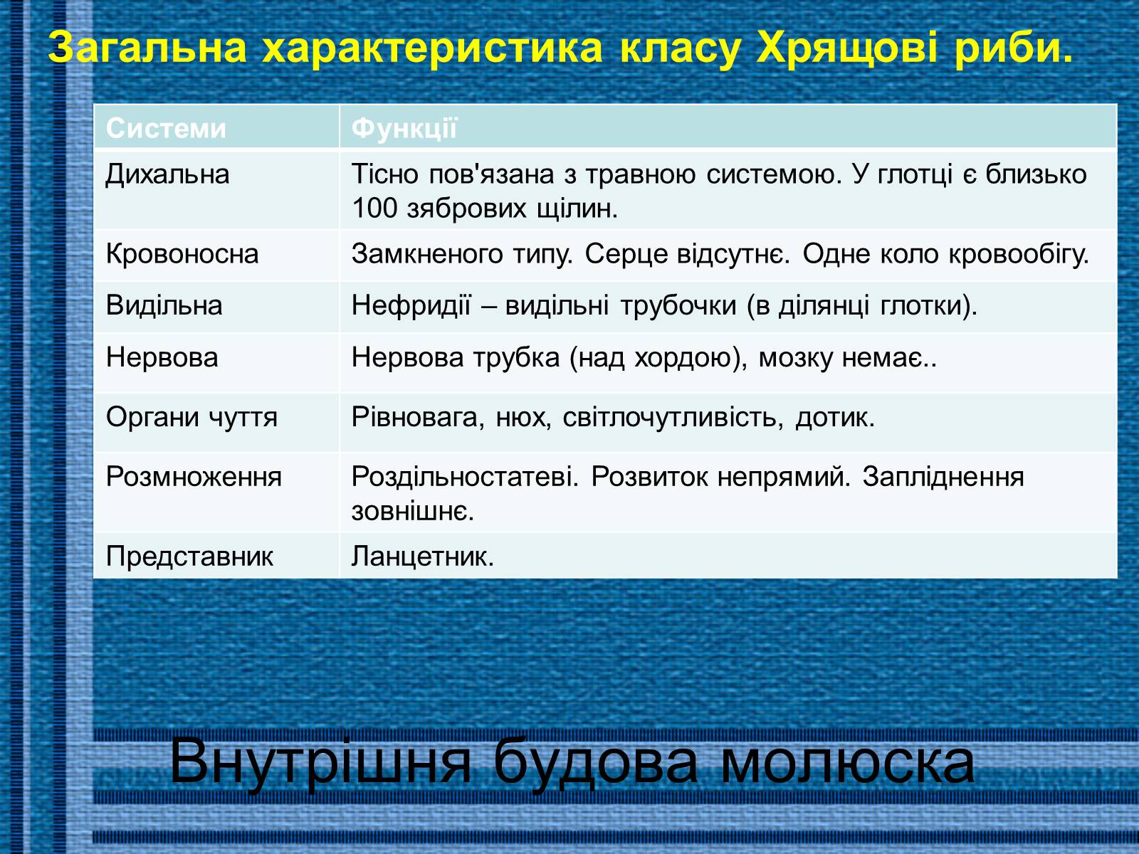 Презентація на тему «Хрящові риби» (варіант 1) - Слайд #8 Презентація на тему «Хрящові риби» (варіант 1) - Слайд #8