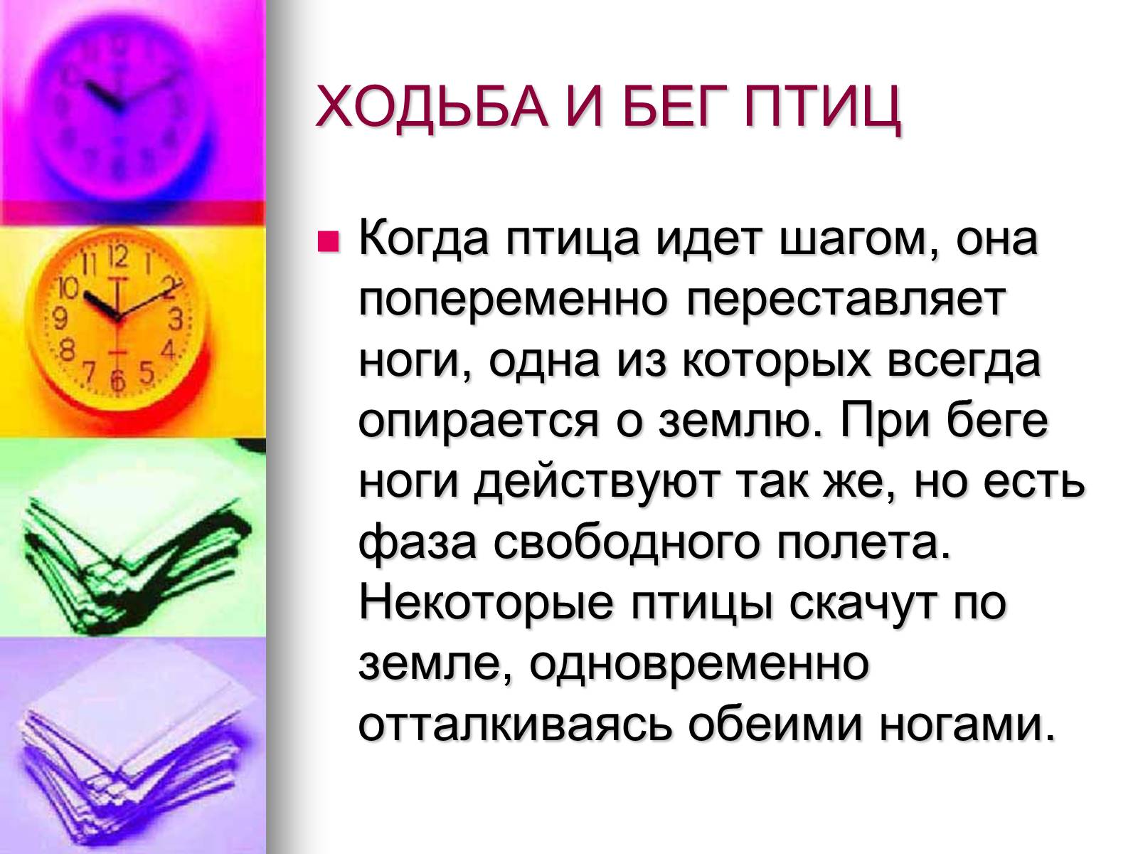 Презентація на тему «Птицы» (варіант 1) - Слайд #9 Презентація на тему «Птицы» (варіант 1) - Слайд #9