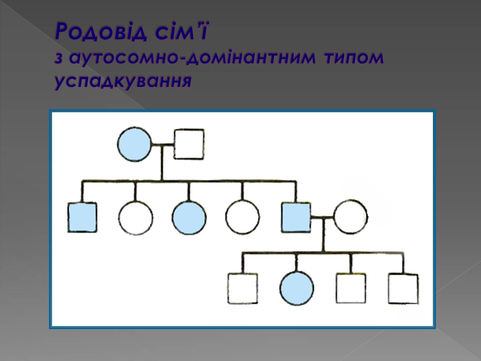 Презентація на тему «Генетика людини» (варіант 2) - Слайд #11 Презентація на тему «Генетика людини» (варіант 2) - Слайд #11