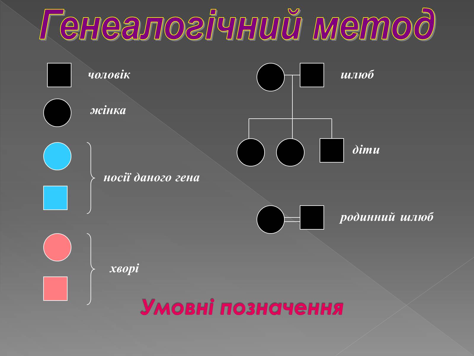 Презентація на тему «Генетика людини» (варіант 2) - Слайд #9 Презентація на тему «Генетика людини» (варіант 2) - Слайд #9