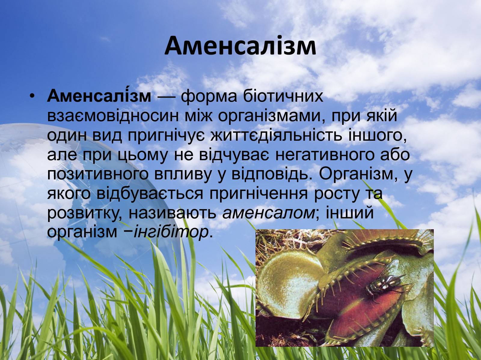 Презентація на тему «Типи взаємодії між живими організмами» - Слайд #6 Презентація на тему «Типи взаємодії між живими організмами» - Слайд #6