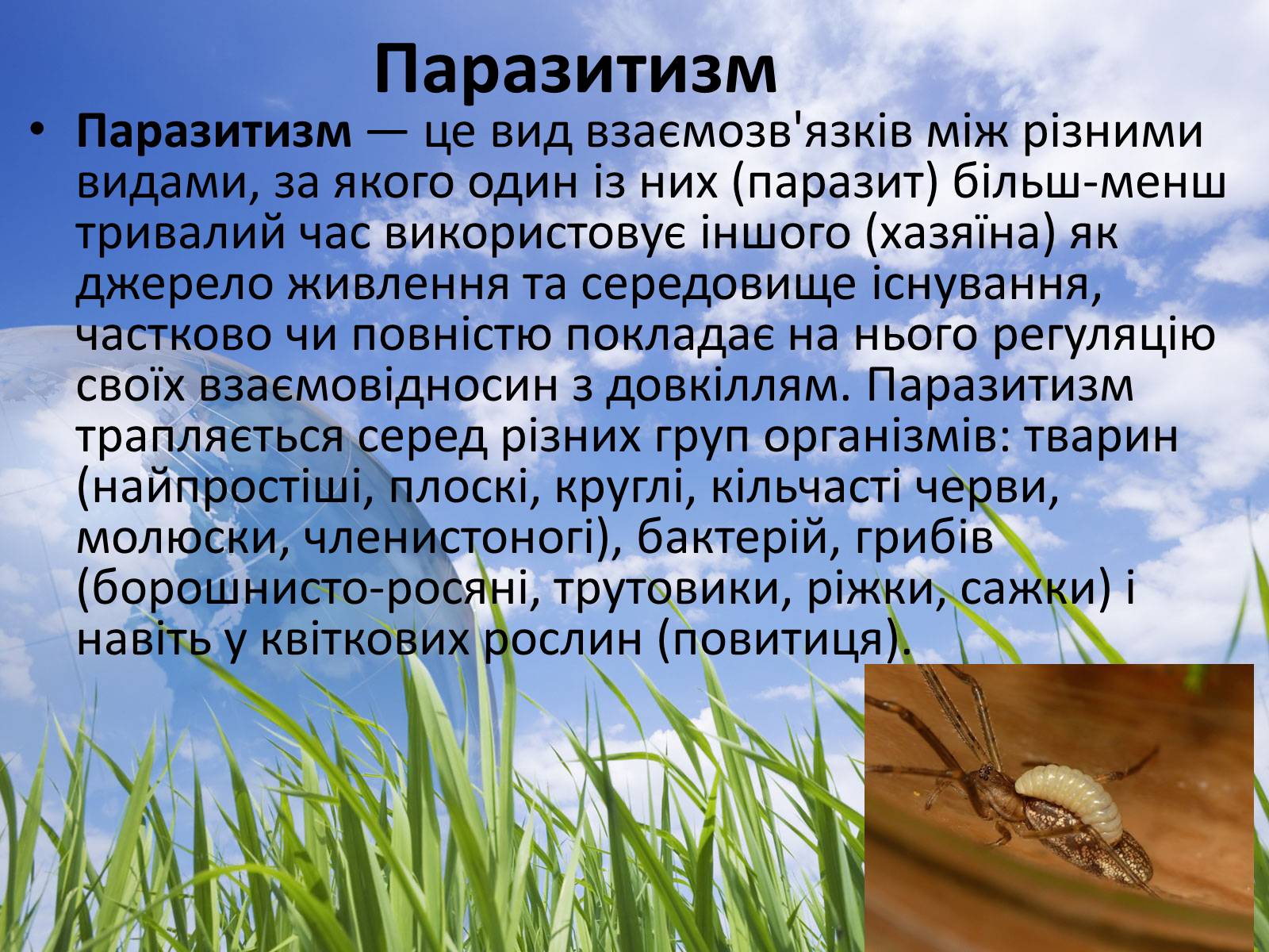 Презентація на тему «Типи взаємодії між живими організмами» - Слайд #7 Презентація на тему «Типи взаємодії між живими організмами» - Слайд #7