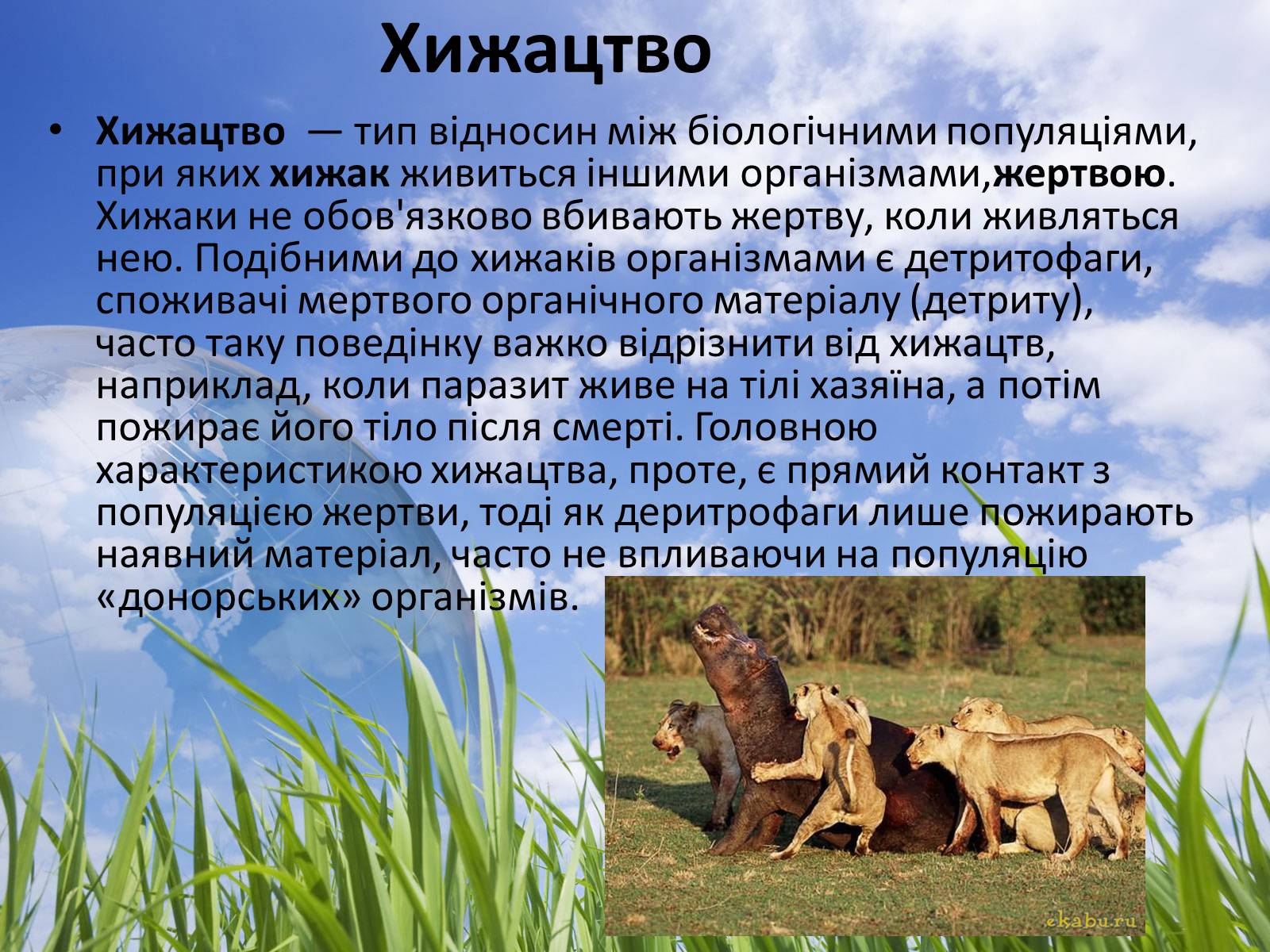 Презентація на тему «Типи взаємодії між живими організмами» - Слайд #8 Презентація на тему «Типи взаємодії між живими організмами» - Слайд #8