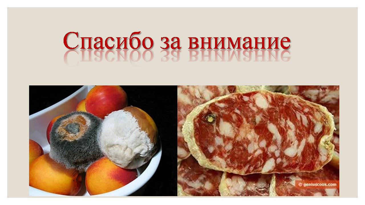 Презентація на тему «Микроорганизмы. Грибы» - Слайд #22 Презентація на тему «Микроорганизмы. Грибы» - Слайд #22