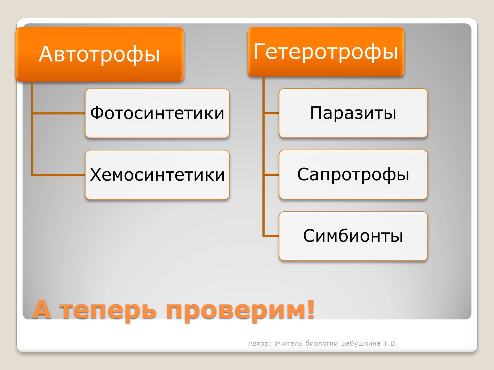 Презентація на тему «Царство Бактерии» - Слайд #11 Презентація на тему «Царство Бактерии» - Слайд #11