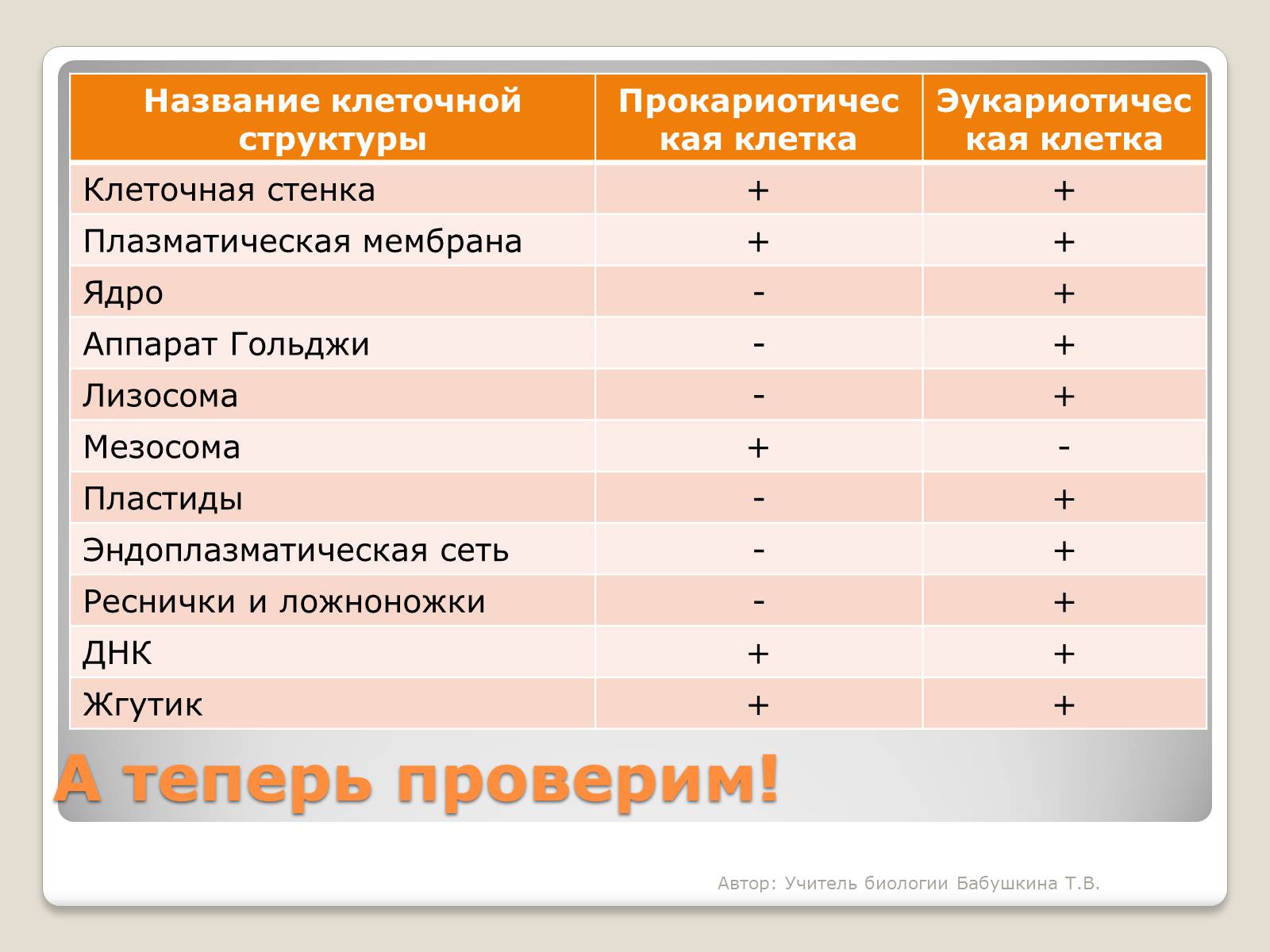 Презентація на тему «Царство Бактерии» - Слайд #6 Презентація на тему «Царство Бактерии» - Слайд #6
