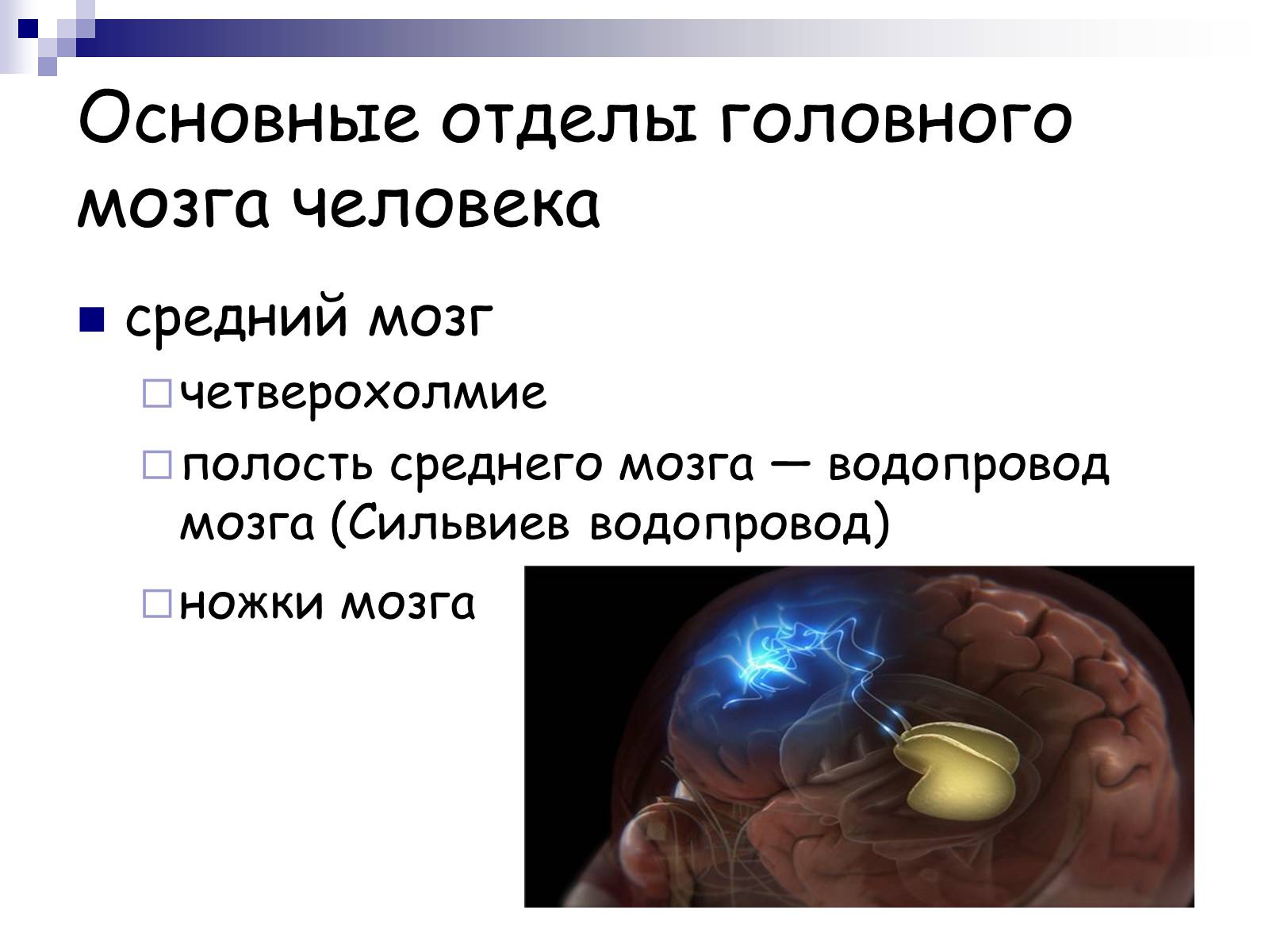 Презентація на тему «Человеский мозг» - Слайд #11 Презентація на тему «Человеский мозг» - Слайд #11