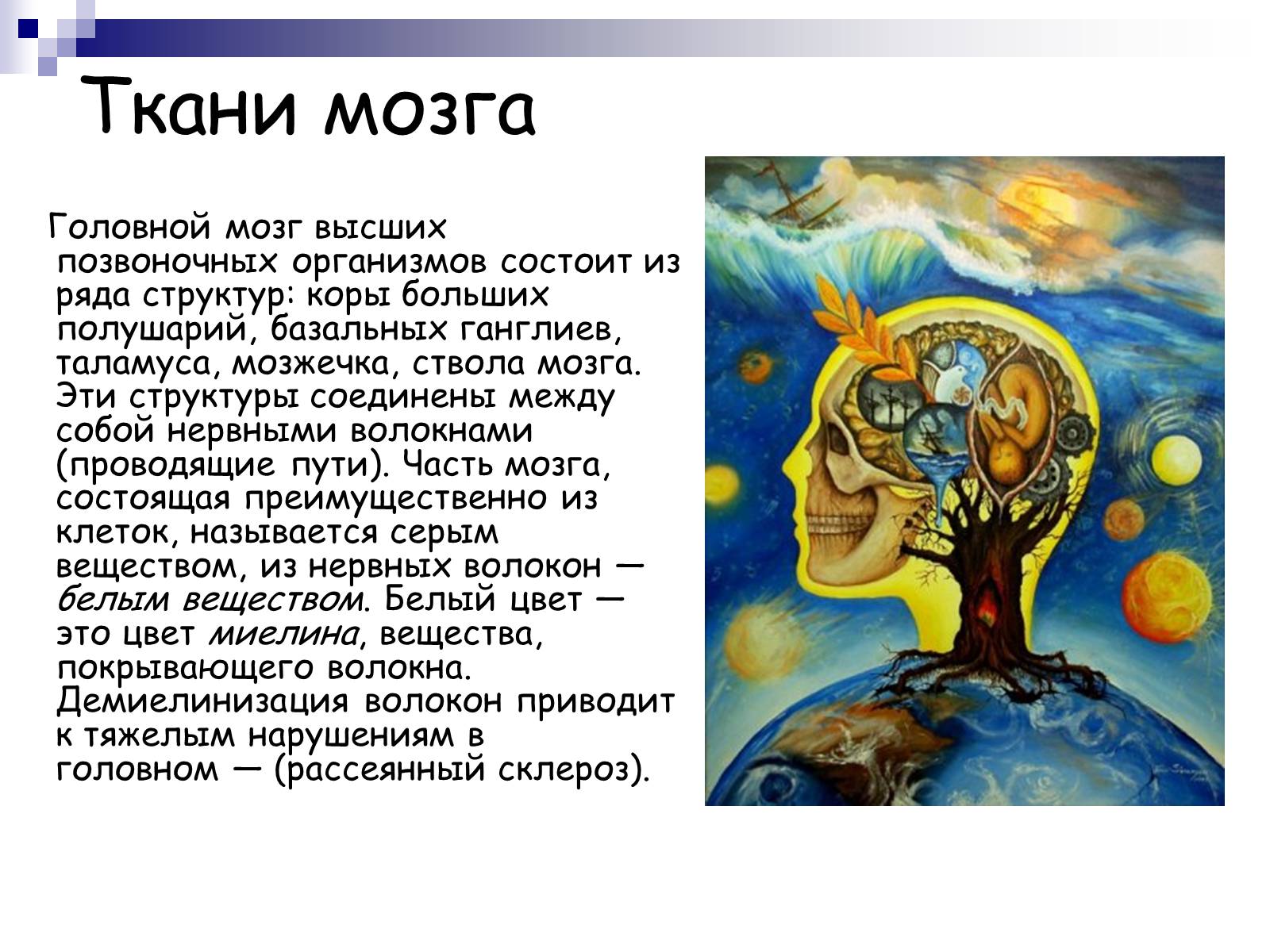 Презентація на тему «Человеский мозг» - Слайд #5 Презентація на тему «Человеский мозг» - Слайд #5