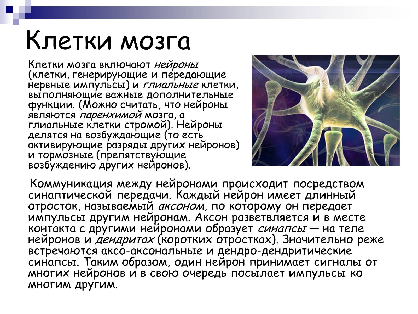 Презентація на тему «Человеский мозг» - Слайд #6 Презентація на тему «Человеский мозг» - Слайд #6