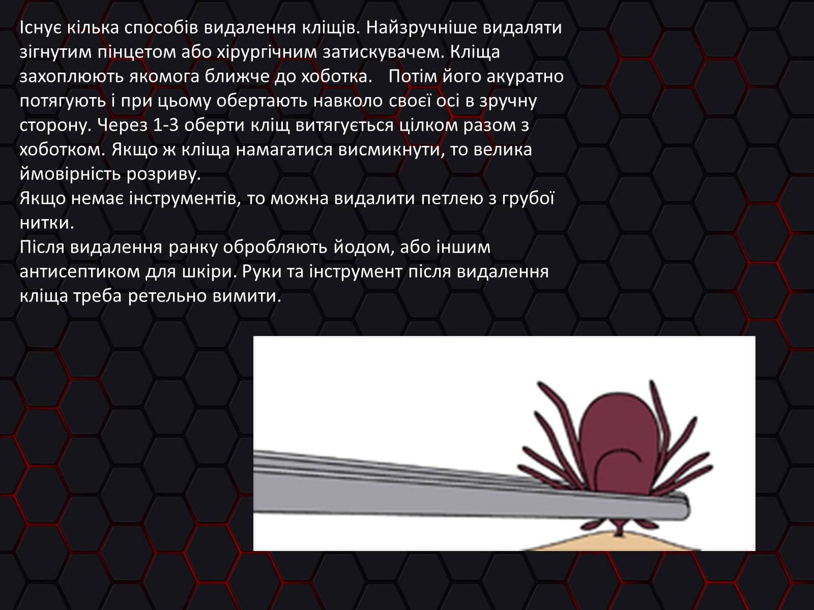 Презентація на тему «Укуси. Сказ» - Слайд #10 Презентація на тему «Укуси. Сказ» - Слайд #10