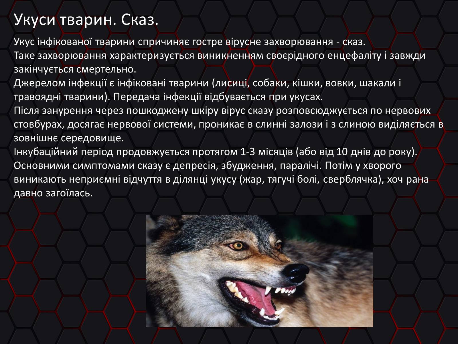 Презентація на тему «Укуси. Сказ» - Слайд #13 Презентація на тему «Укуси. Сказ» - Слайд #13