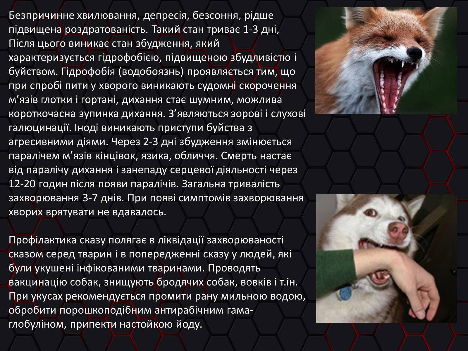 Презентація на тему «Укуси. Сказ» - Слайд #14 Презентація на тему «Укуси. Сказ» - Слайд #14