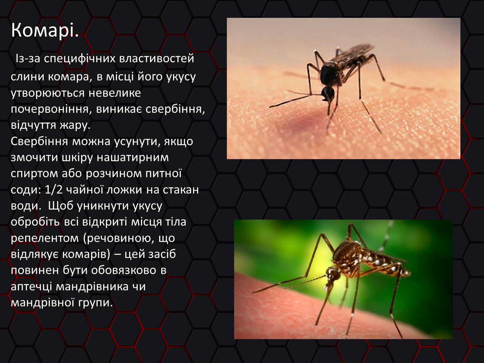 Презентація на тему «Укуси. Сказ» - Слайд #3 Презентація на тему «Укуси. Сказ» - Слайд #3