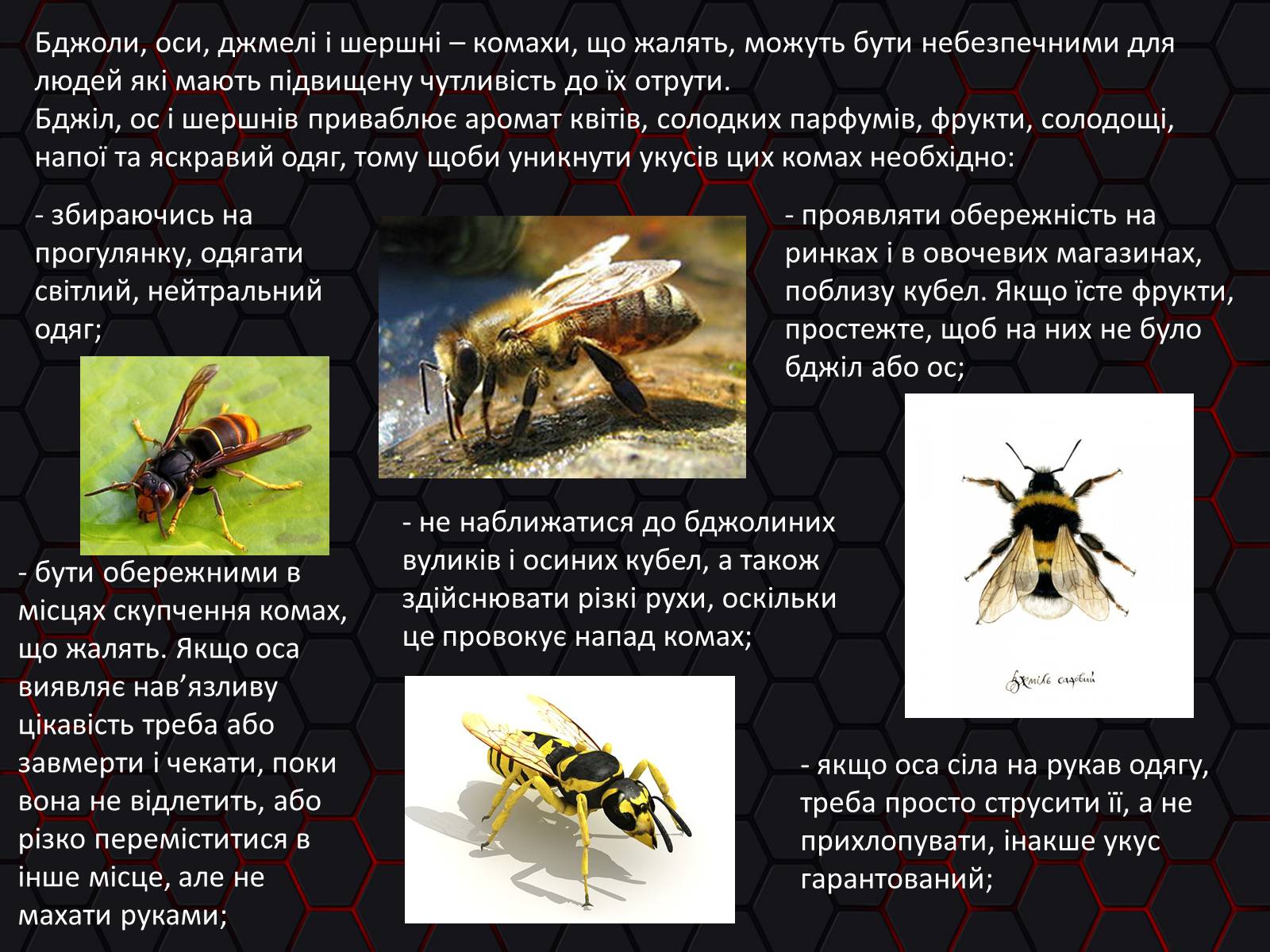 Презентація на тему «Укуси. Сказ» - Слайд #6 Презентація на тему «Укуси. Сказ» - Слайд #6