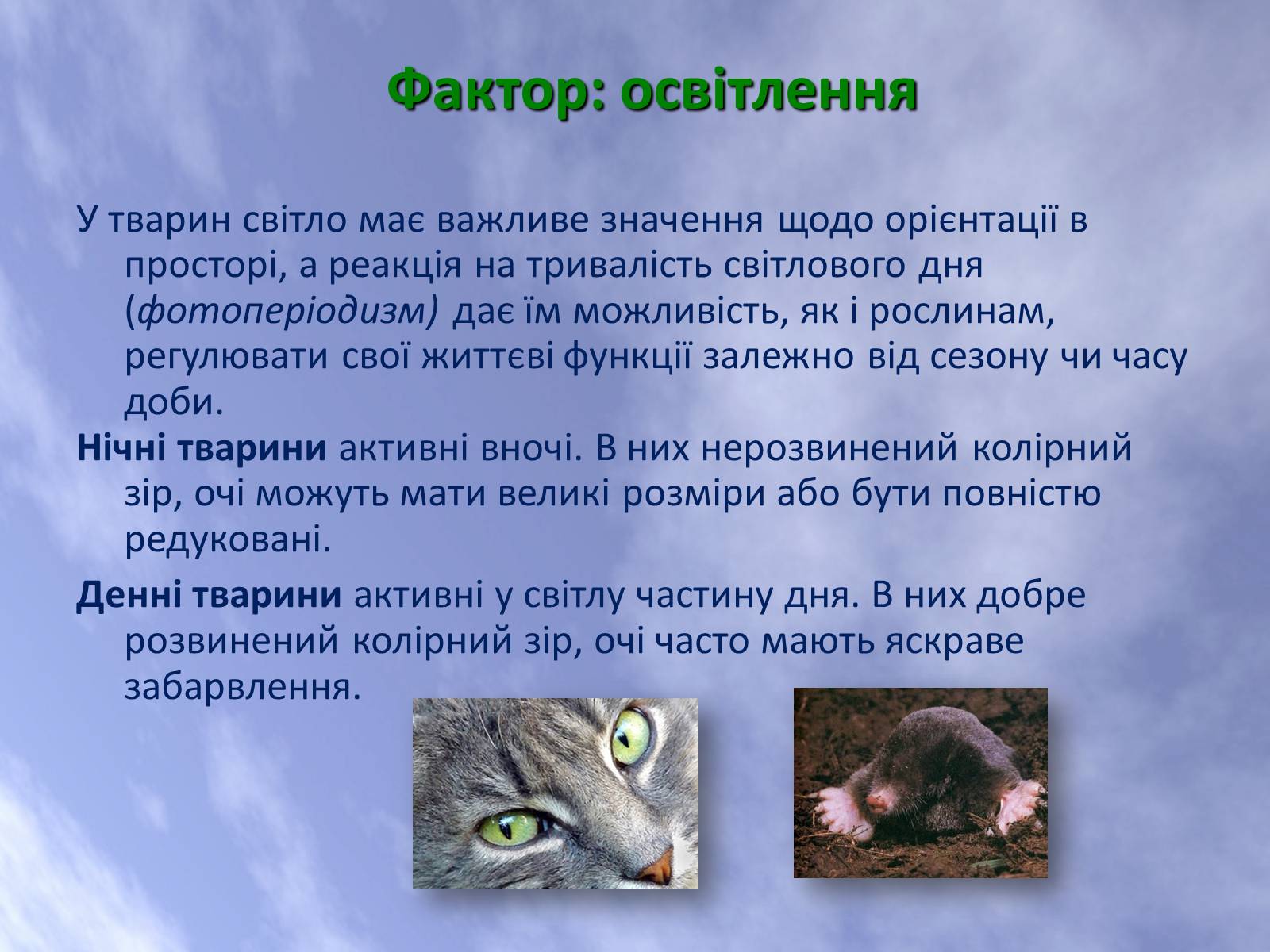 Презентація на тему «Наземно-повітряне середовище життя організмів» - Слайд #10 Презентація на тему «Наземно-повітряне середовище життя організмів» - Слайд #10