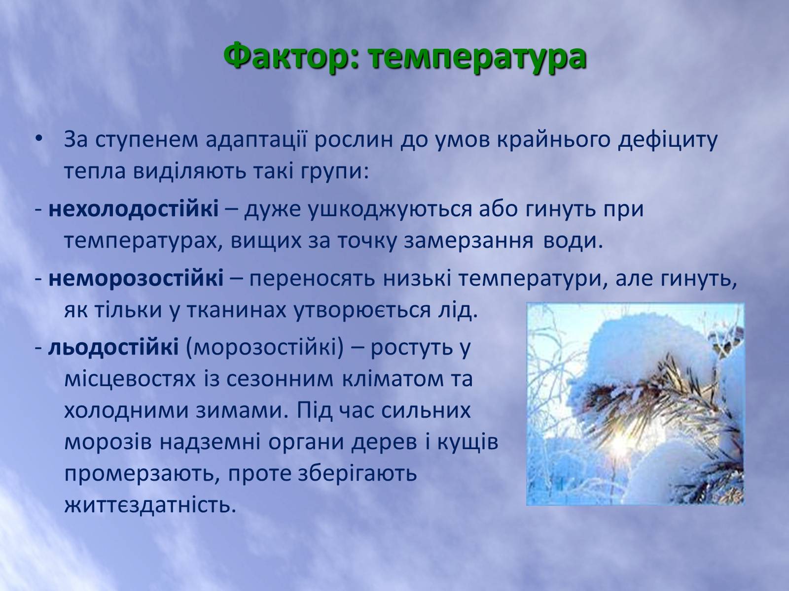 Презентація на тему «Наземно-повітряне середовище життя організмів» - Слайд #12 Презентація на тему «Наземно-повітряне середовище життя організмів» - Слайд #12