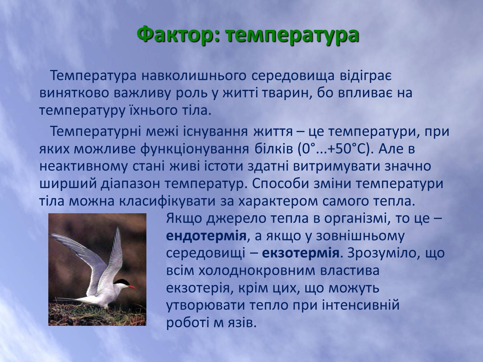 Презентація на тему «Наземно-повітряне середовище життя організмів» - Слайд #14 Презентація на тему «Наземно-повітряне середовище життя організмів» - Слайд #14