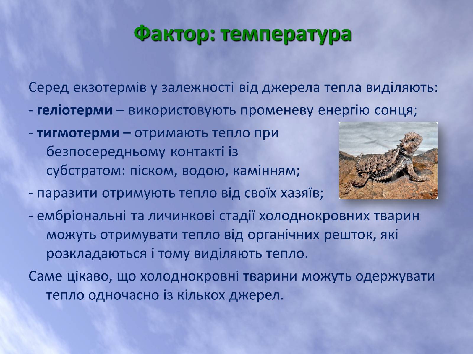 Презентація на тему «Наземно-повітряне середовище життя організмів» - Слайд #15 Презентація на тему «Наземно-повітряне середовище життя організмів» - Слайд #15
