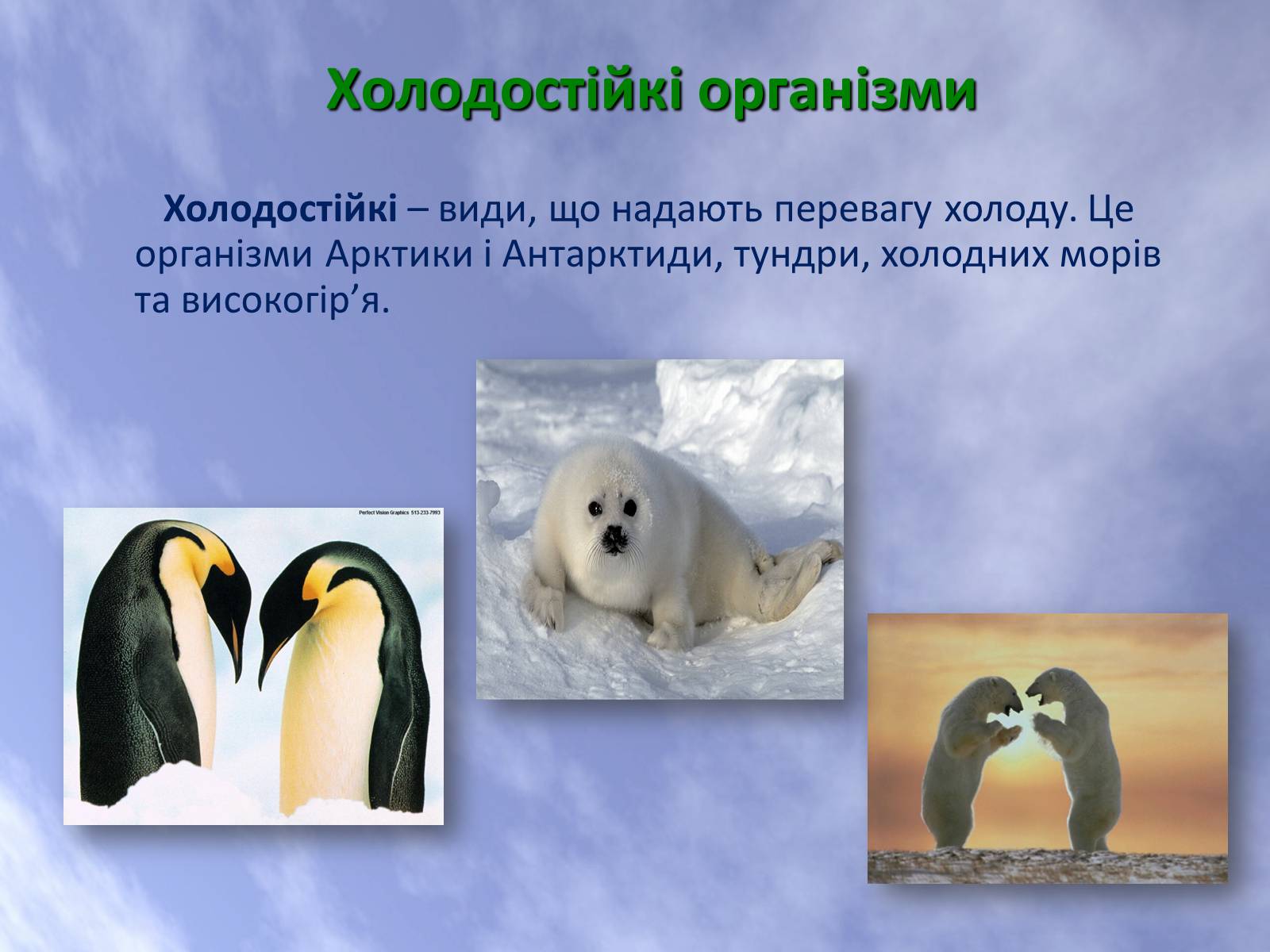 Презентація на тему «Наземно-повітряне середовище життя організмів» - Слайд #17 Презентація на тему «Наземно-повітряне середовище життя організмів» - Слайд #17