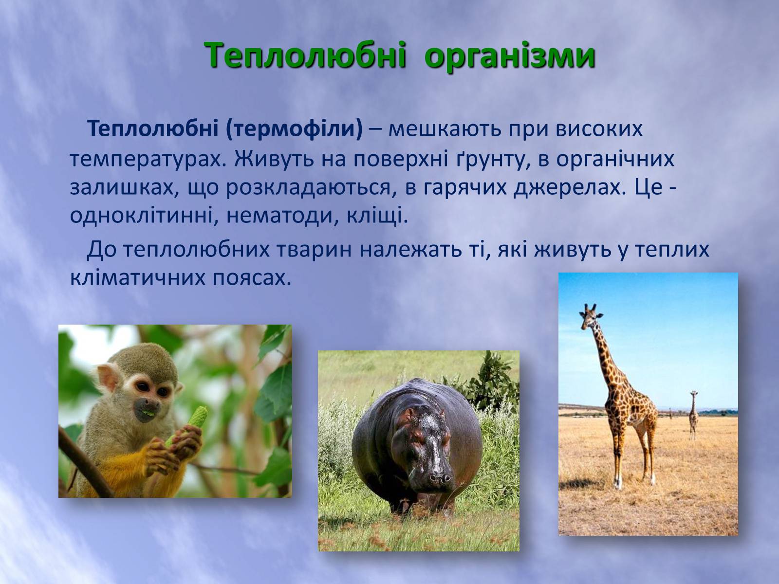 Презентація на тему «Наземно-повітряне середовище життя організмів» - Слайд #18 Презентація на тему «Наземно-повітряне середовище життя організмів» - Слайд #18