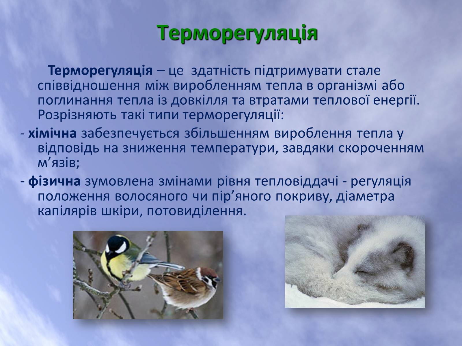 Презентація на тему «Наземно-повітряне середовище життя організмів» - Слайд #19 Презентація на тему «Наземно-повітряне середовище життя організмів» - Слайд #19