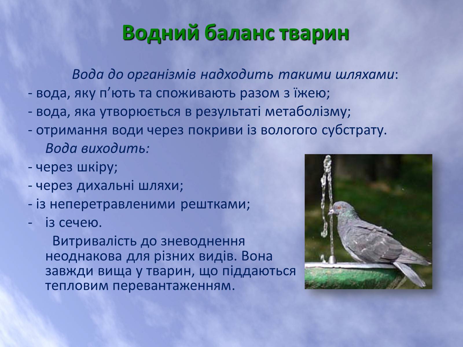 Презентація на тему «Наземно-повітряне середовище життя організмів» - Слайд #23 Презентація на тему «Наземно-повітряне середовище життя організмів» - Слайд #23
