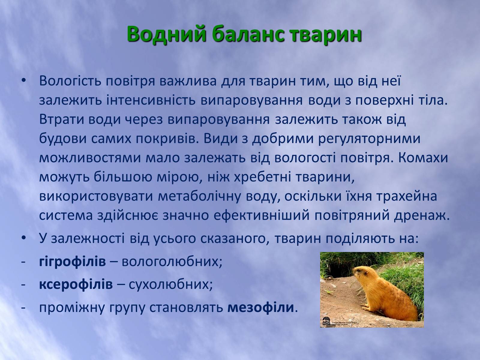 Презентація на тему «Наземно-повітряне середовище життя організмів» - Слайд #24 Презентація на тему «Наземно-повітряне середовище життя організмів» - Слайд #24